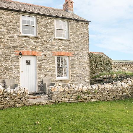 Home Farm Cottage Boscastle Eksteriør billede